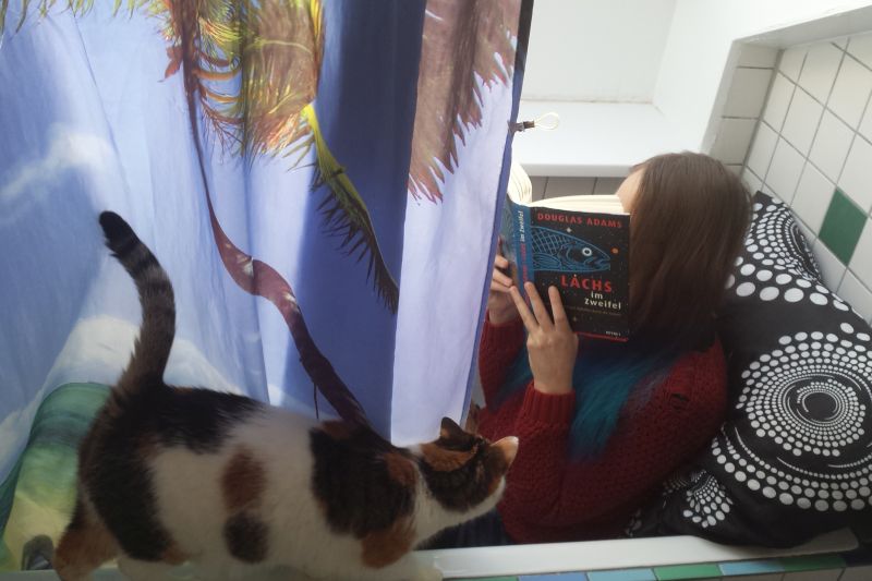 Badewanne lesen Katzen