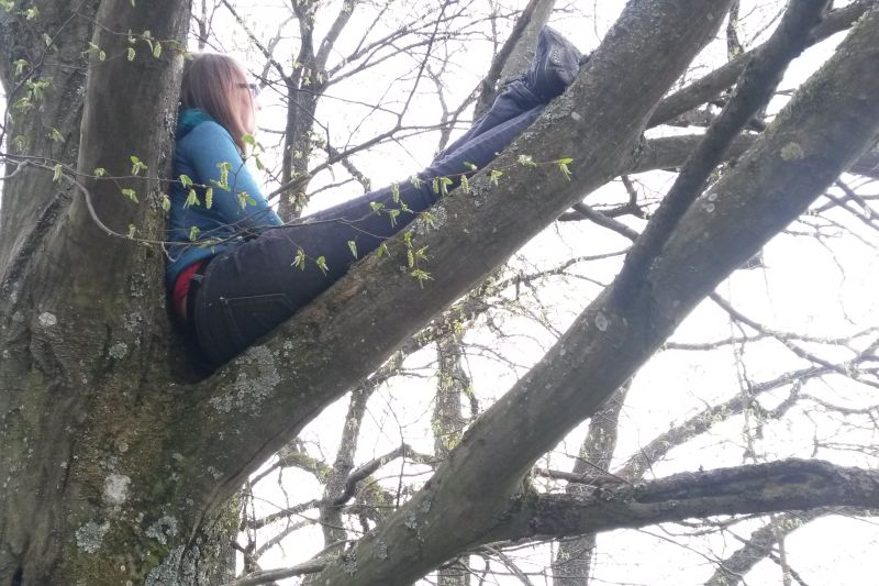 Baum janina chillen