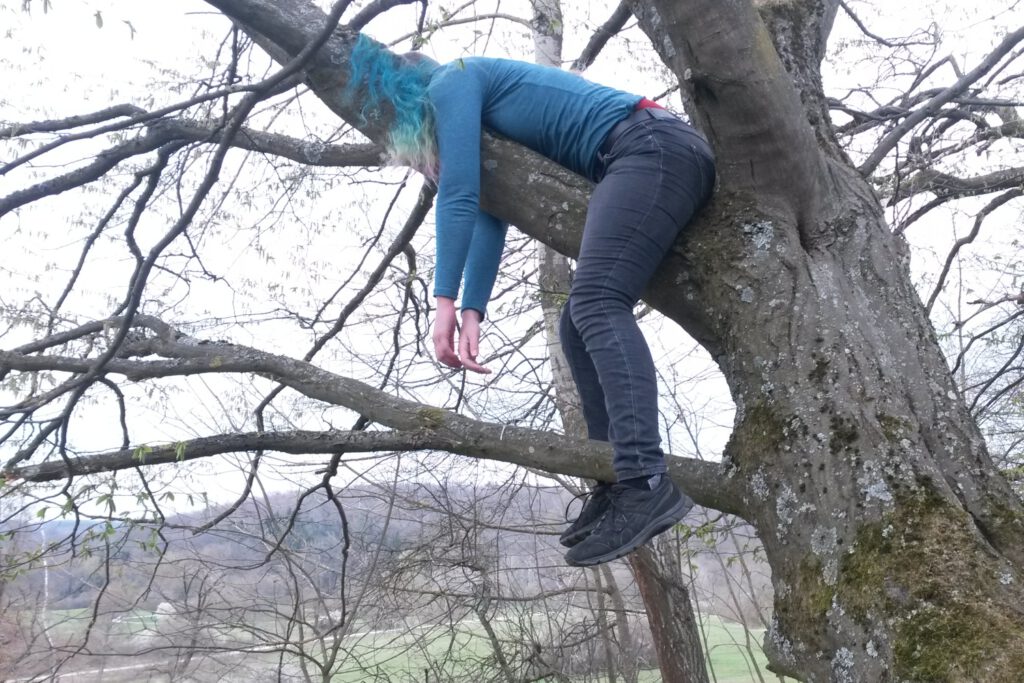 externes Abitur Baum
