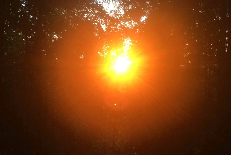 Resilienz Sonne